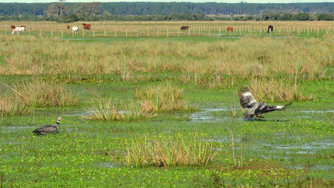 Los Chaja Ecolodge Barra de Valizas Εξωτερικό φωτογραφία