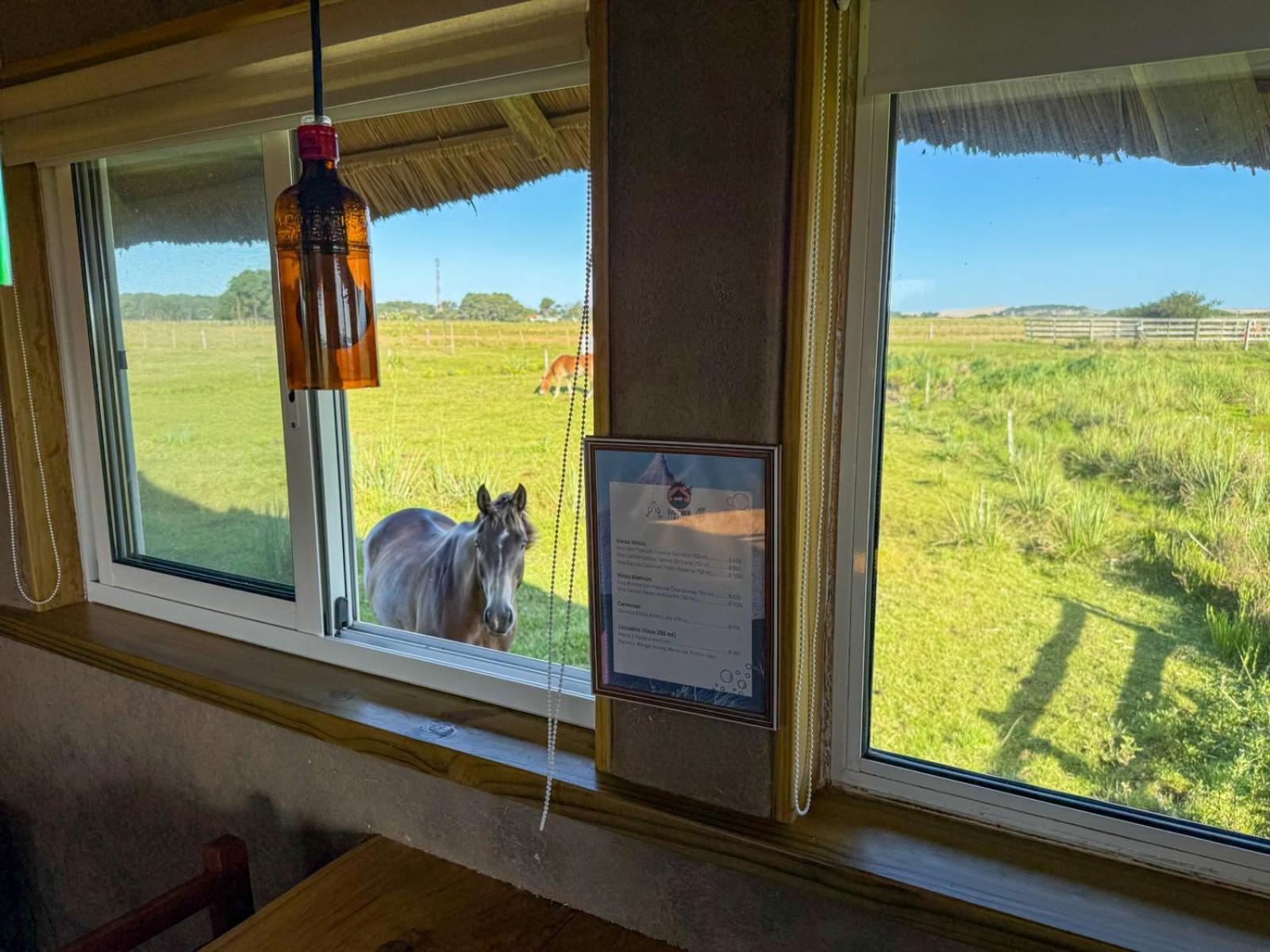 Los Chaja Ecolodge Barra de Valizas Εξωτερικό φωτογραφία