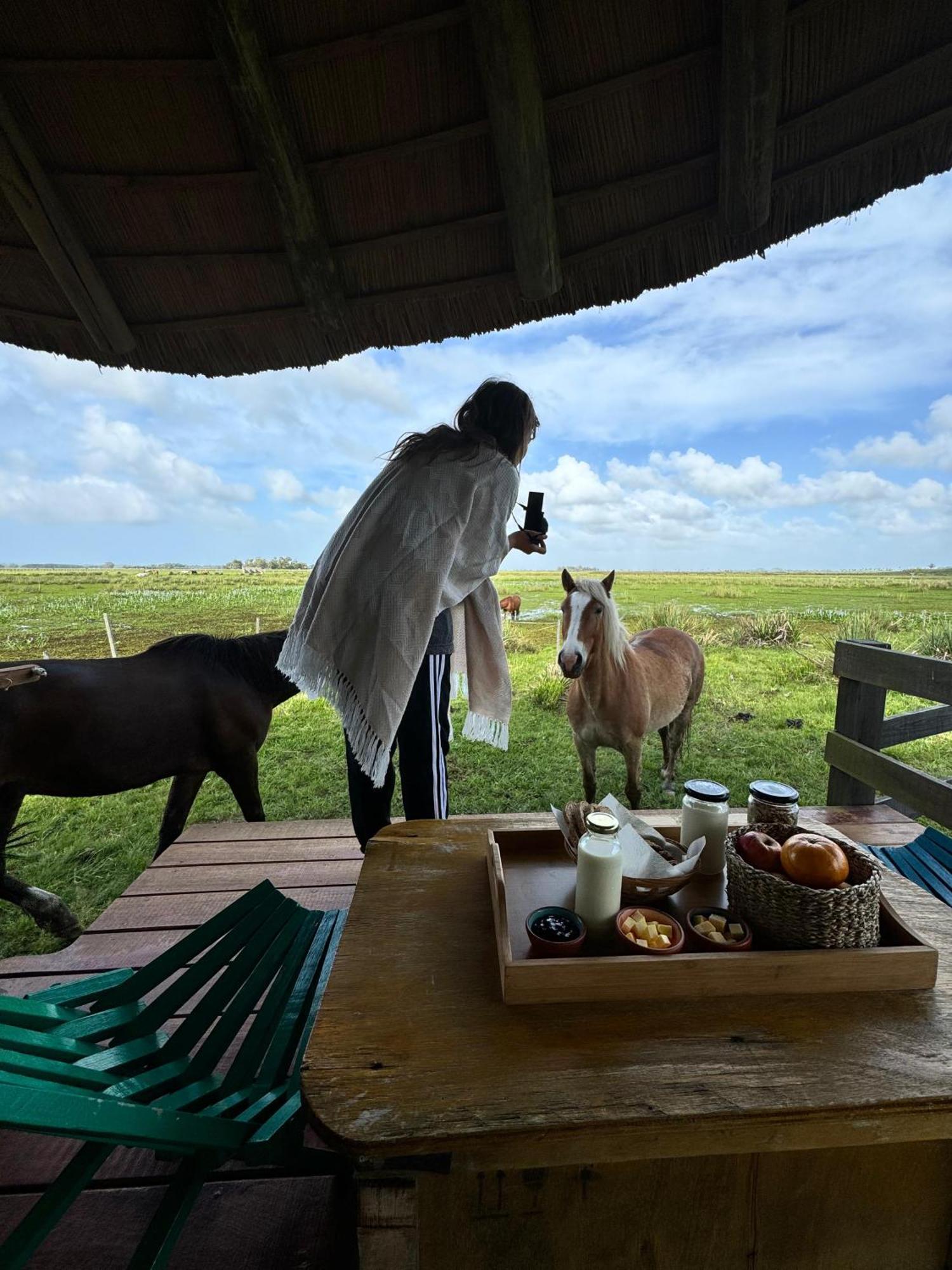 Los Chaja Ecolodge Barra de Valizas Εξωτερικό φωτογραφία